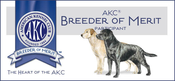 AKC Breeder of Merit